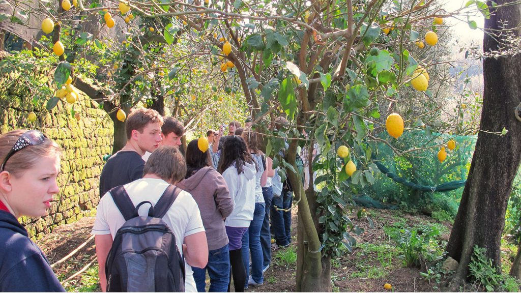 Students exploring Fondo Galatea Working Farm