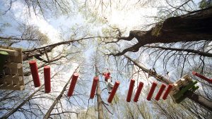 High Ropes course in the trees