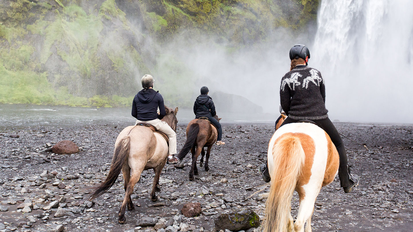 Horse Riding