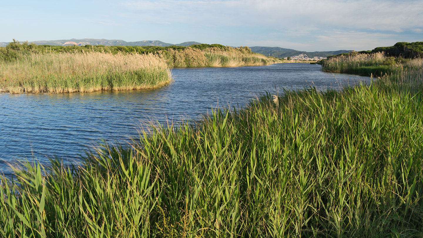 Llobregat Delta