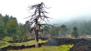 Mount Etna Nord