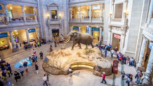 Smithsonian National Museum of Natural History