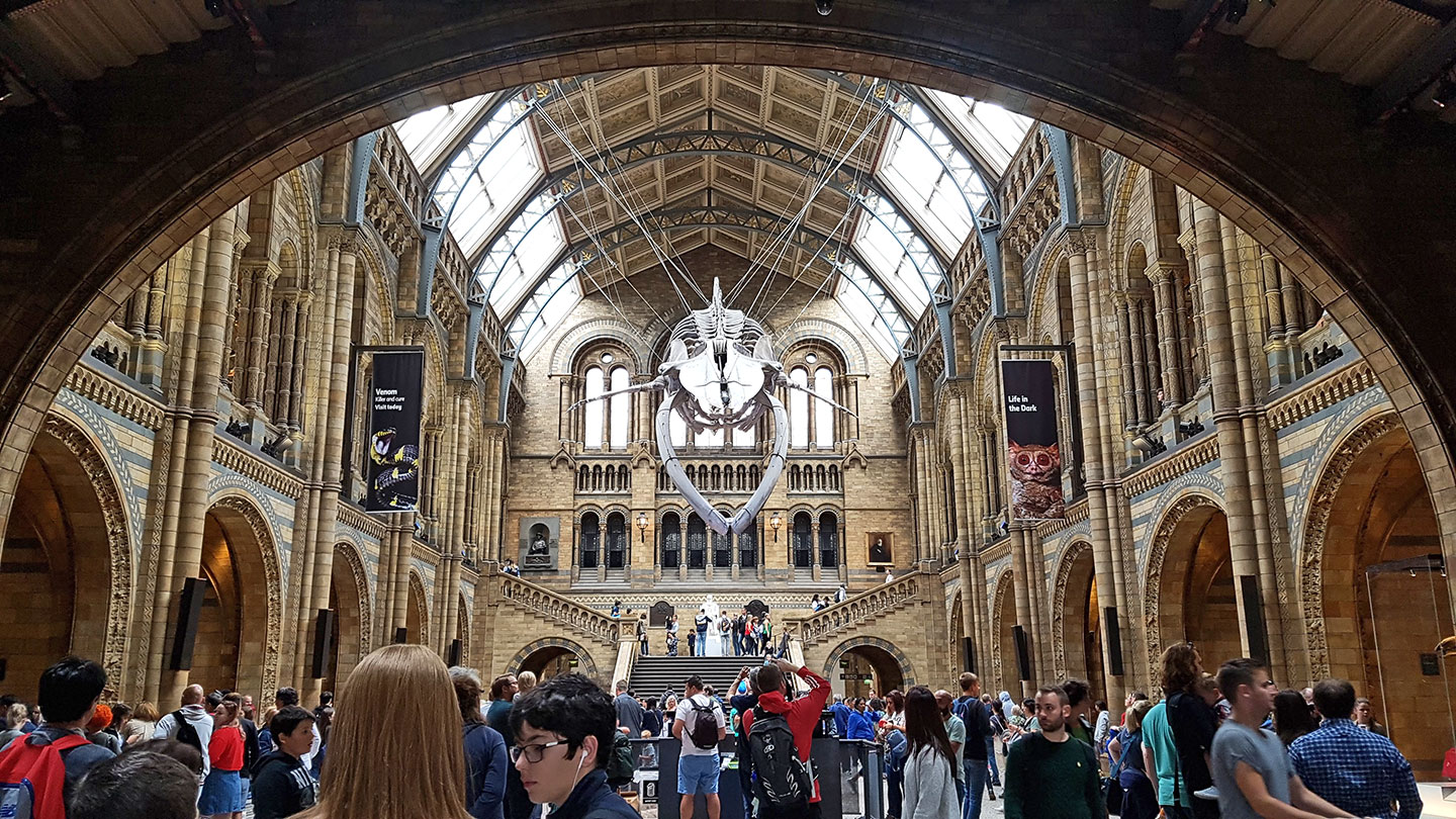 Natural History Museum