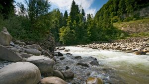 Fast waters and lush landscape of River Ramble, explore with School Geography Trips to Switzerland