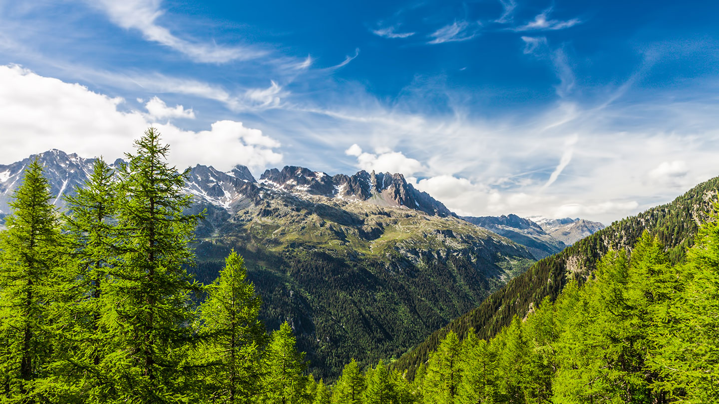 Amazing scenery of mountains and trees with School Geography Trips to Switzerland