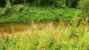 Tordera River