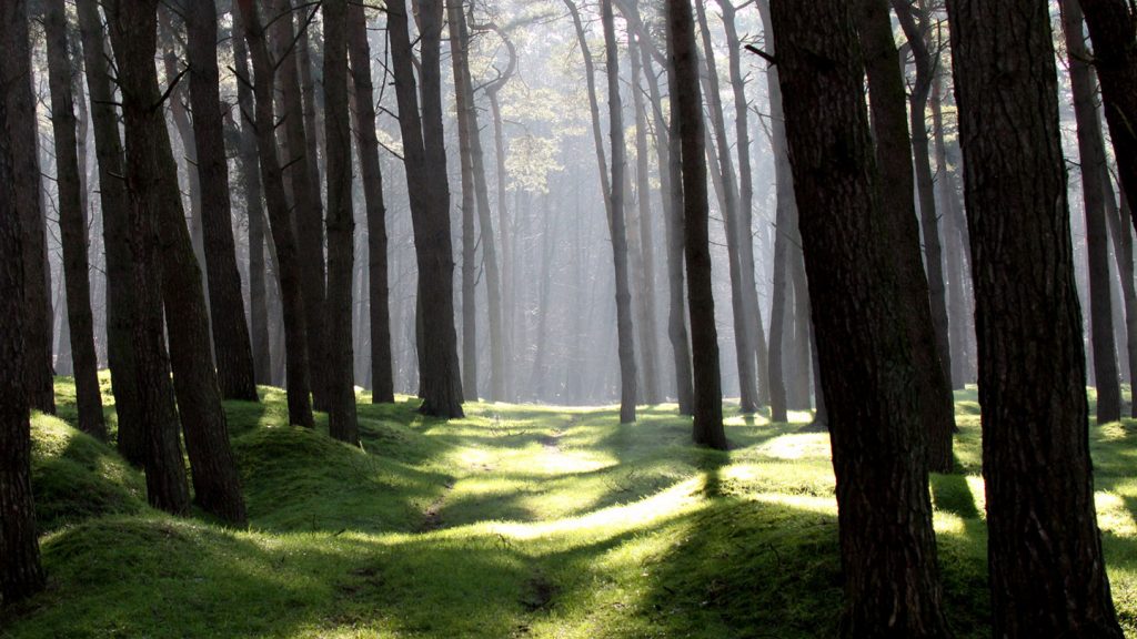 Vimy Ridge, The Somme