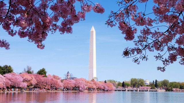 Washington Monument