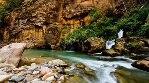 Zion Canyon Lower Emerald Pool Trail