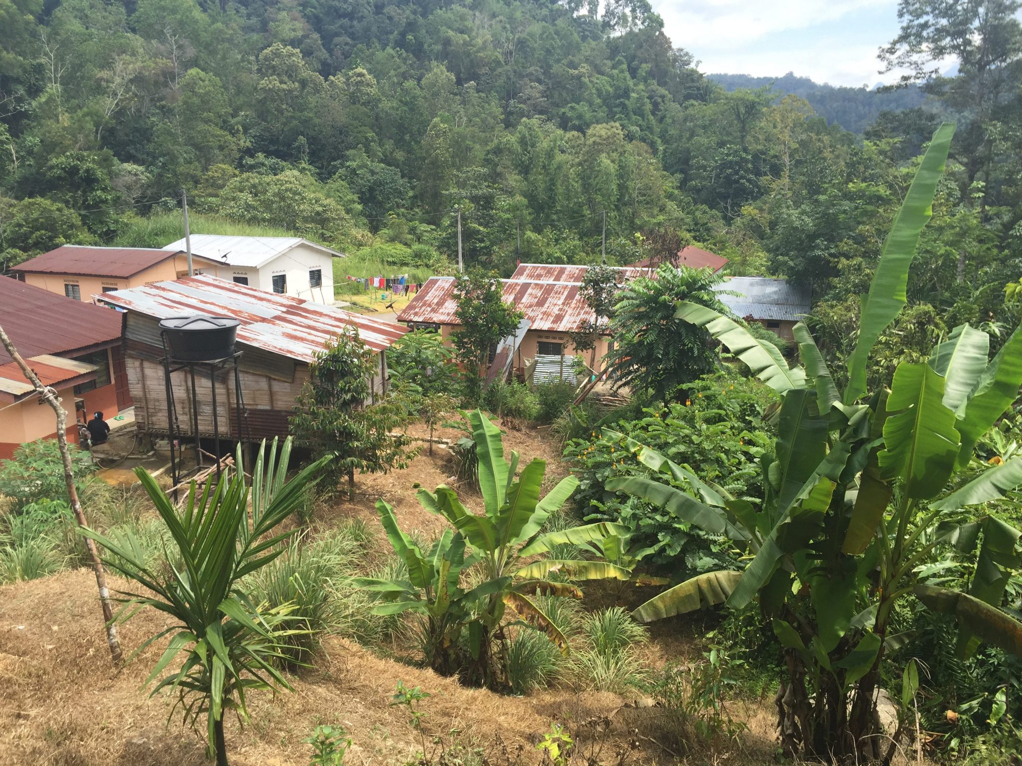 Orang Asli settlement