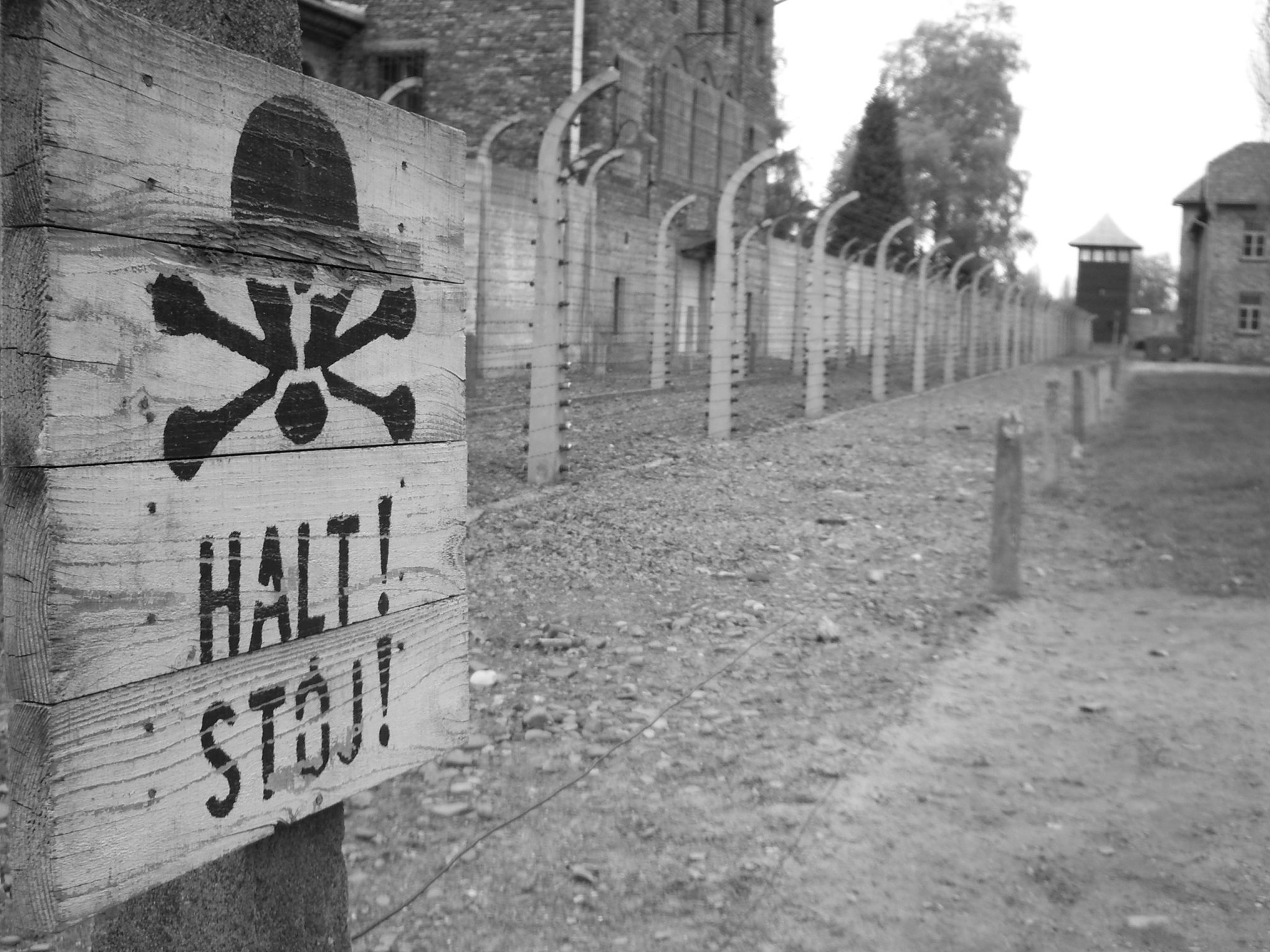 PO_Auschwitz_2005_011