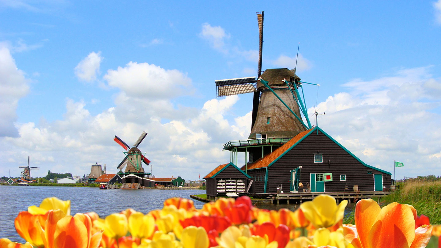 Zaanse Schans Museum