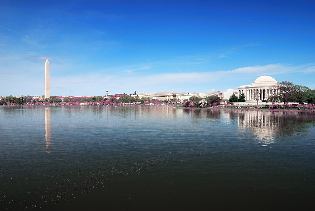 http://www.dreamstime.com/stock-photos-washington-dc-panorama-image13936193