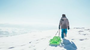 Sledging