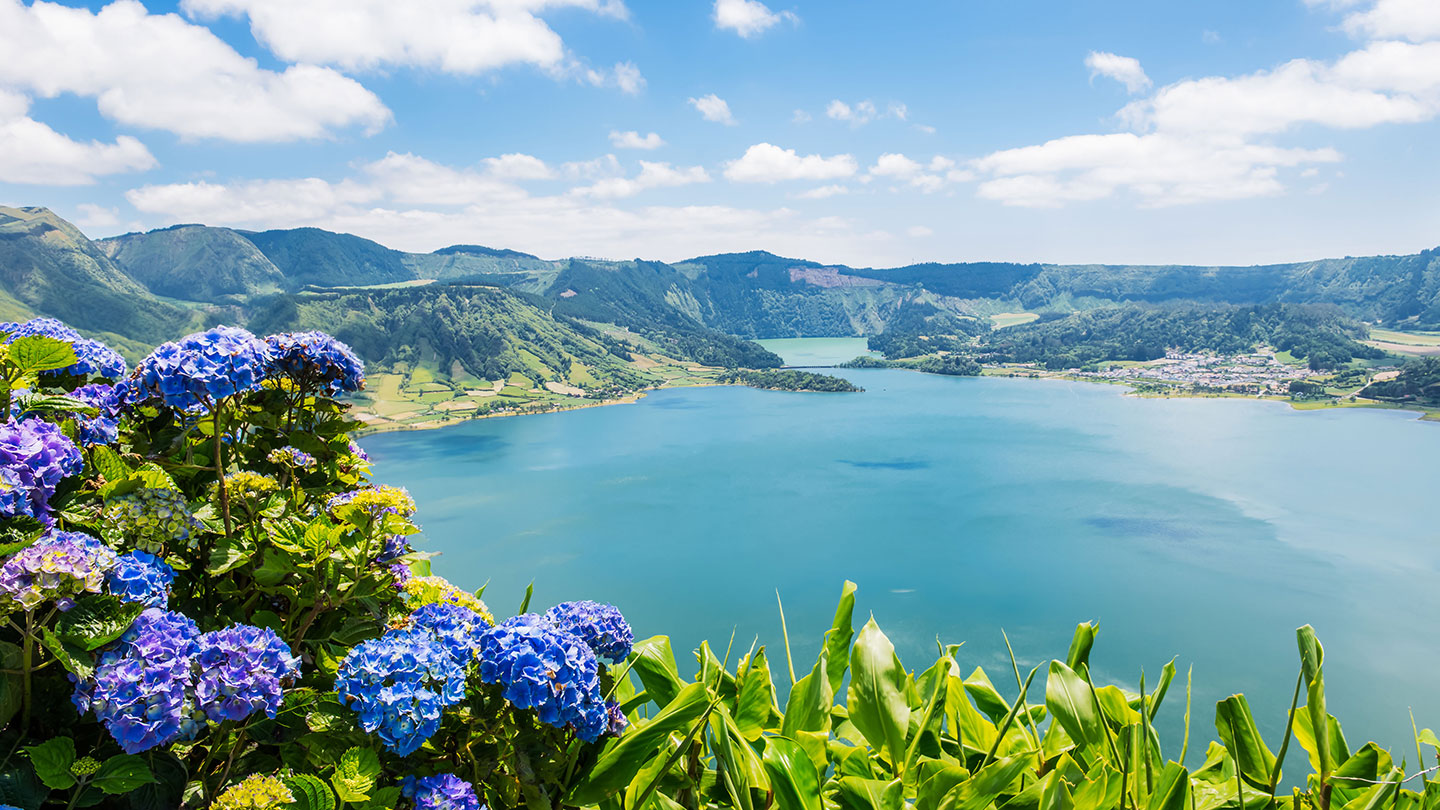 Blue hydrangeas in foreground with Lagoa Azul & Verde in background