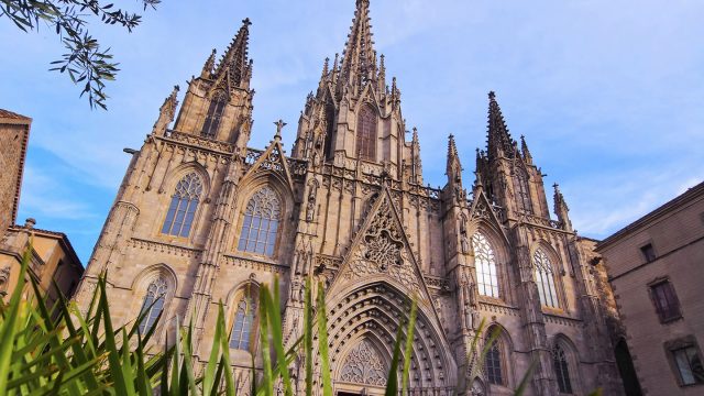 Barcelona Cathedral in Barcelona Spain