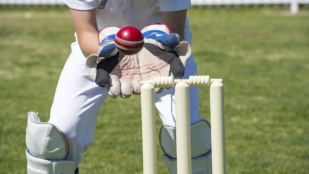 Cricket