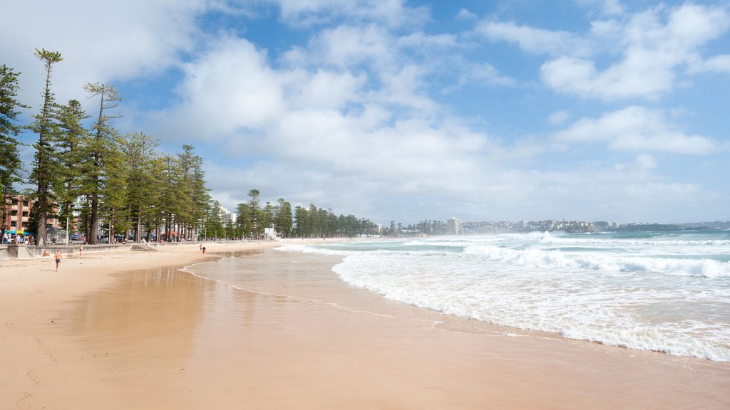 Manly Beach