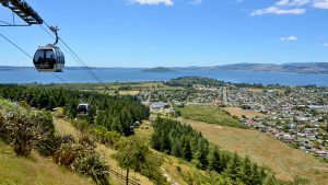 Skyline gondola and luges