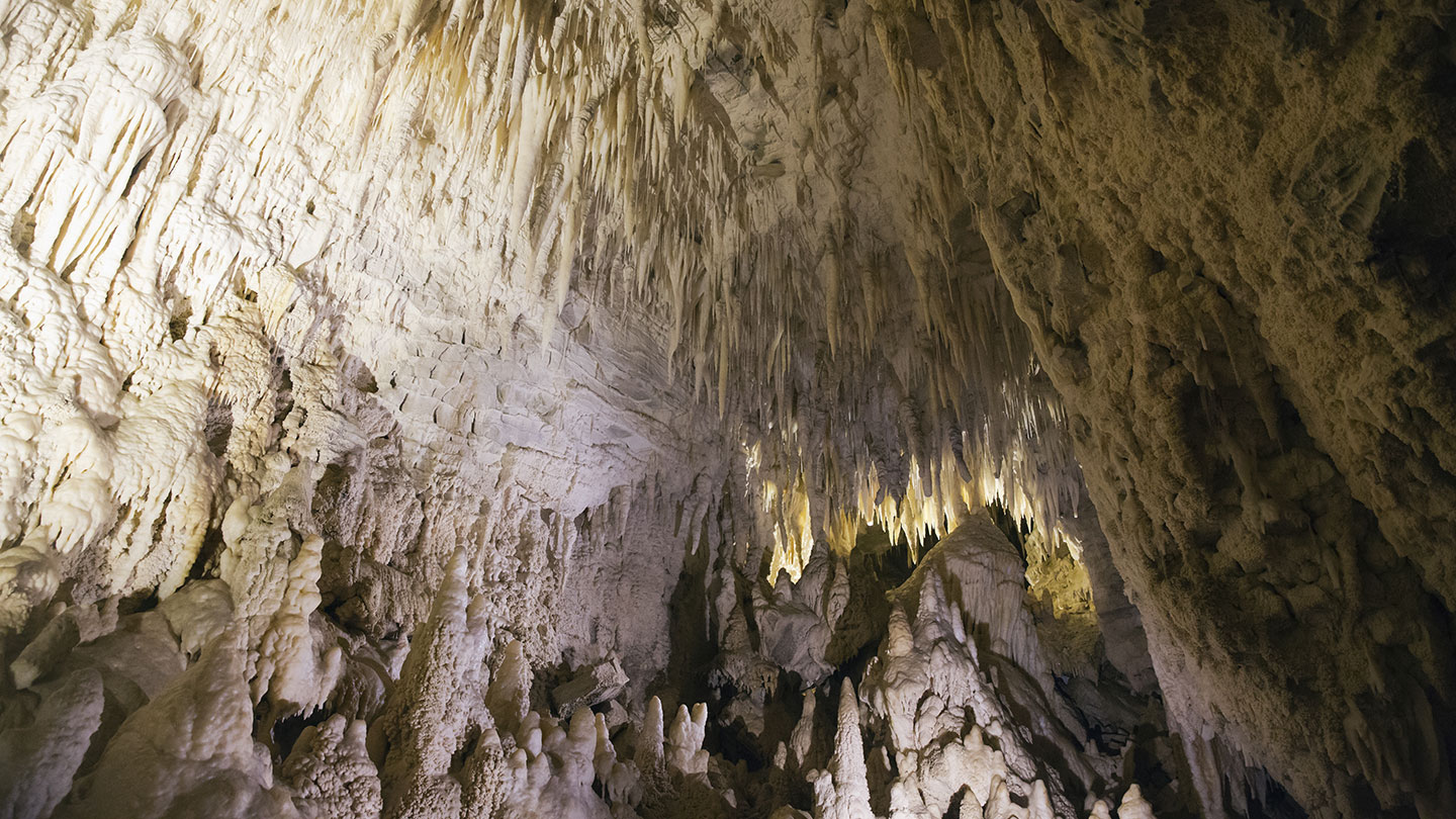 Waitomo Caves