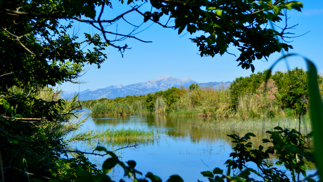 Parque Natural de la Albufera