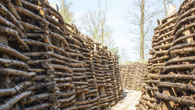 bayernwald-trenches