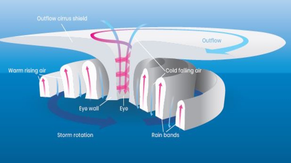 Parts Of A Cyclone Diagram