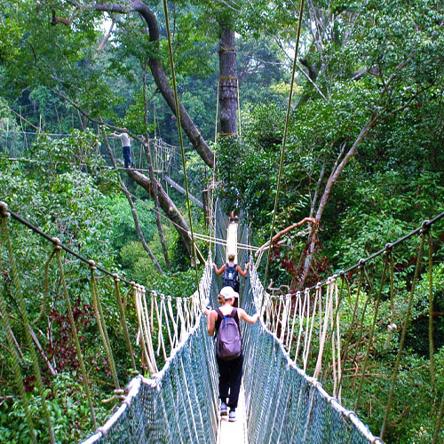 School pupils on rope bridge in Malaysia