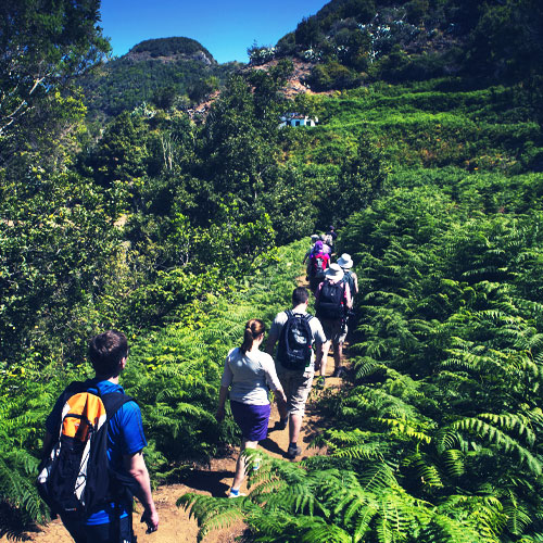 Trekking in the mountains of Tenerife