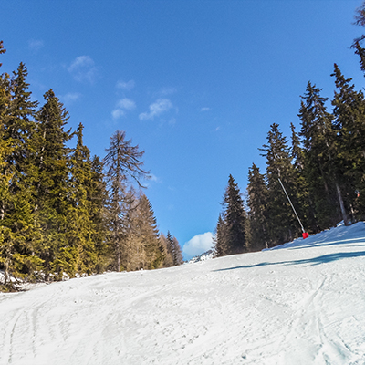 A ski slope that runs between trees in Les Arcs, France is 4 of 5 School Ski Resorts Great For Easter Skiing