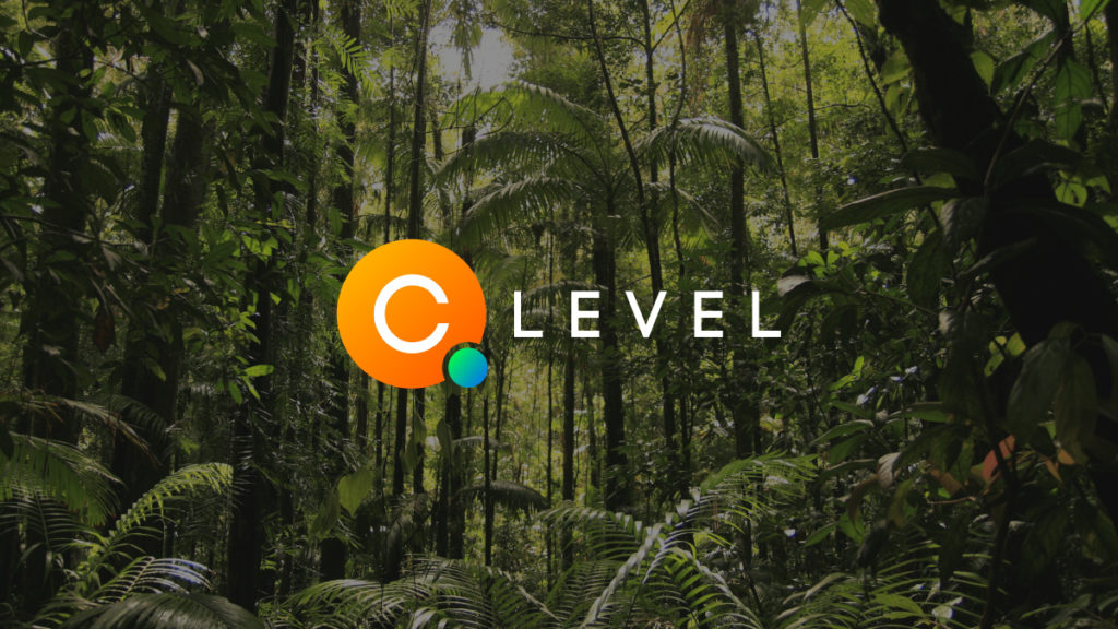 C-Level Logo