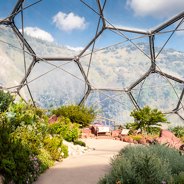 A view from inside the Mediterranean Biome at The Eden Project