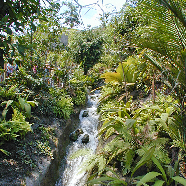 A river running through the Rainforest section of The Eden Project
