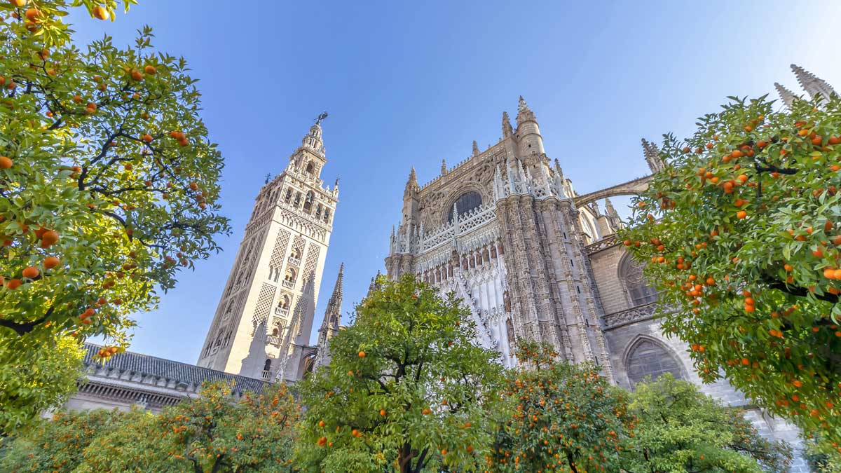 The Cathedral of Seville, with orange trees in the foreground.