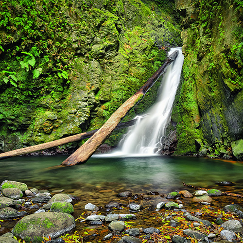 Small waterfall comes out of a small, green crevice into a natural pool in the Azores.