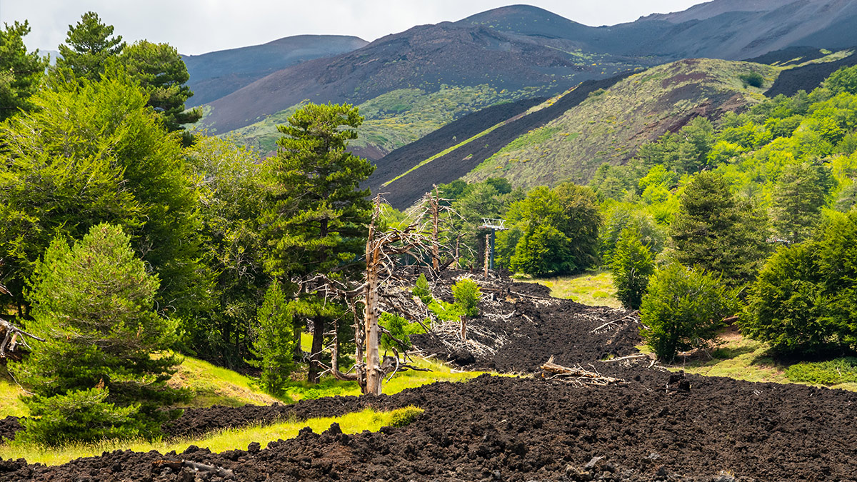 Mount Etna black lava fields cut through the centre of the picture with green vegetation on either side.