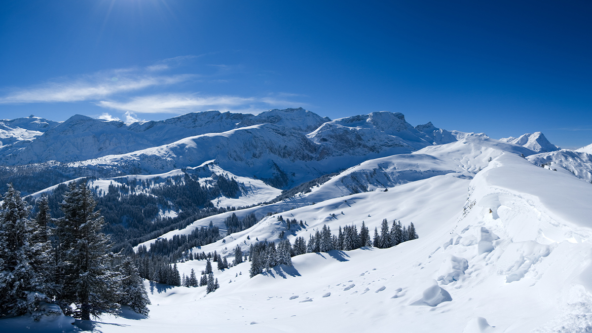 Fresh fallen snow in the Bernese Alps near Lenk, Switzerland