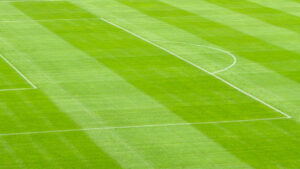 Football pitch penalty box