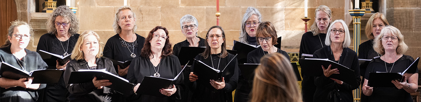 Adult concert group performing