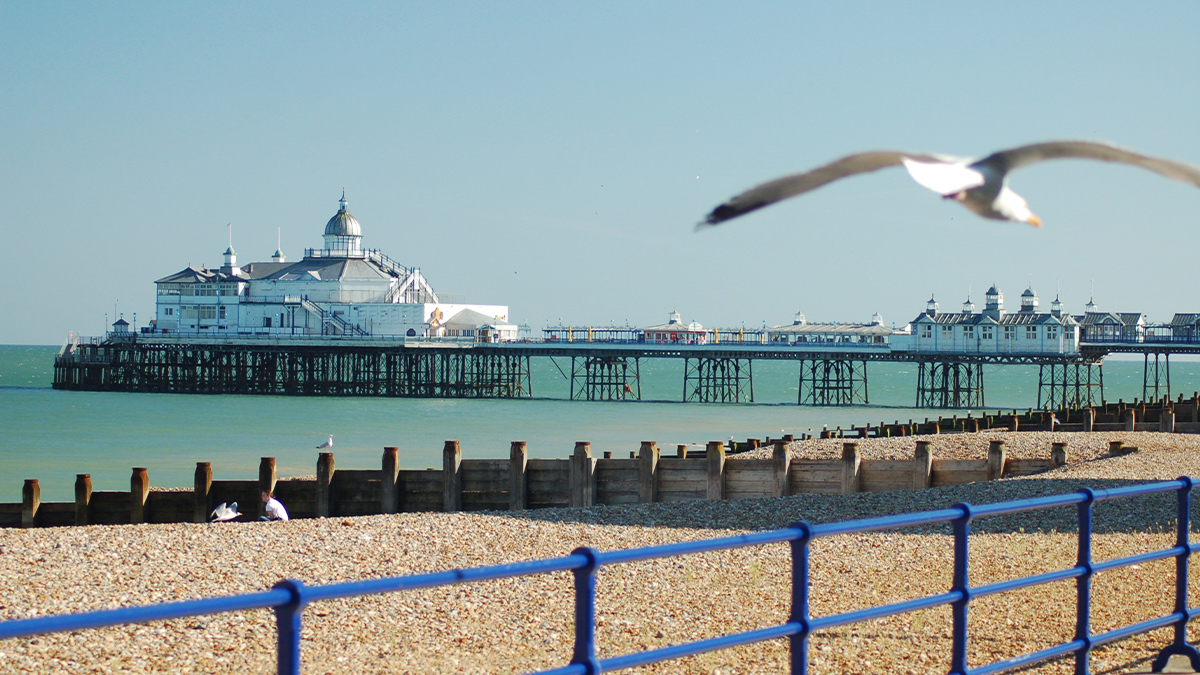 picture of Bournemouth pier with a seagull in the foreground