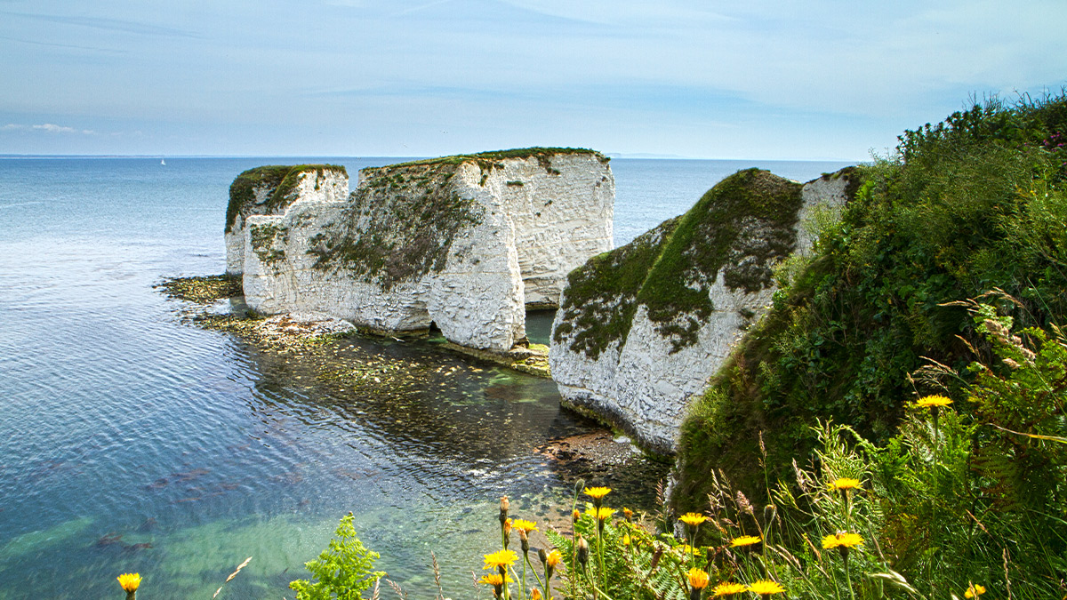 picture of Old Harry Rocks on the Jurassic Coast, Bournemouth